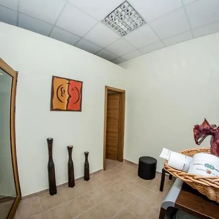 Garden * 阳光海滩